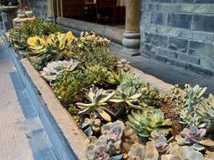 -华冠悠岚·庭院餐厅(青城后山店)