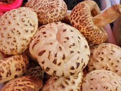 -叠溪松坪沟景区