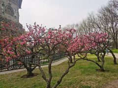 -玲珑塔公园