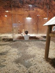 -酷嗒动物文化乐园(cutezoo西溪乐天城店)