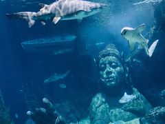 -暹罗海洋世界
