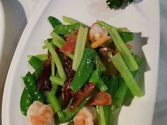 -云中小雅