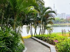 -映月湖公园
