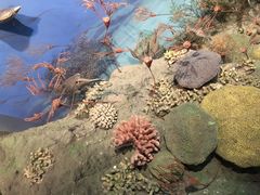 -浙江自然博物院(杭州馆)