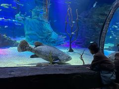 -沈阳海洋探索中心