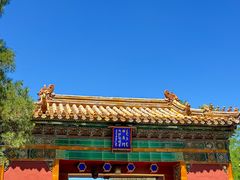 -懂羊帝·羊蝎子·北京菜(小关店)