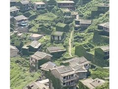 -枸杞岛