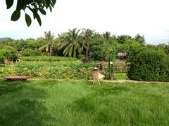 iphone_upload_pic-三亚亚龙湾红树林度假酒店