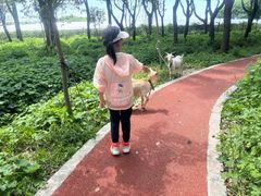 -马陆小张葡萄园农家乐