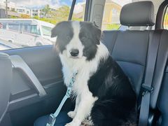 -Takapuna Beach Cafe