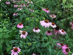 -贵阳市花溪国家城市湿地公园