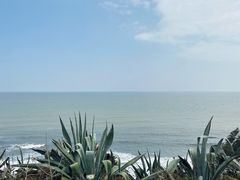 -漳州滨海火山岛自然生态风景区