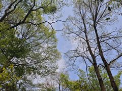 -观山湖公园