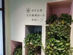 -初心HAlRSALON烫染接发