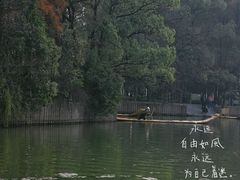 -东湖落雁景区