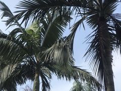 -黄金海岸水上乐园