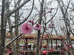 -枫香湖儿童公园