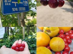 -北京鹫峰国家森林公园