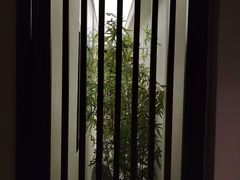 -AI住未来酒店(西安钟鼓楼五路口地铁站店)