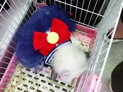 -JOJO实景沉浸侦探剧本杀(大悦城店)