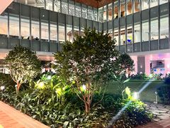 -香港大学
