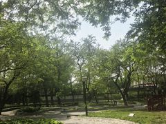 -玲珑塔公园