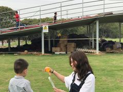 -长洲岛都市农业公园