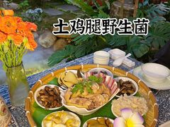 -菌林天下·野生菌汤锅