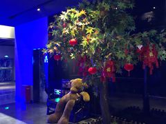 -万达影城(贵阳观山湖万达IMAX店)