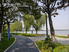 -金鸡湖景区