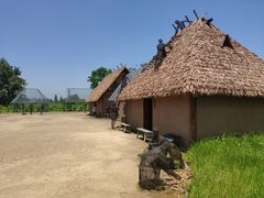 -良渚古城遗址公园