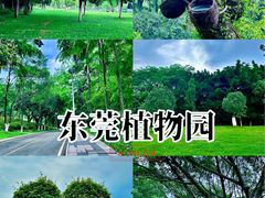 -东莞植物园