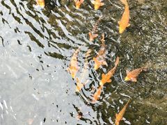 -五泄景区