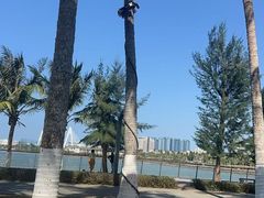 -万绿园