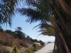 -广东惠东海龟国家级自然保护区