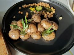 羞羞的蘑菇拳-烛影拾光观景餐厅·创意菜·摄影·小提琴(大唐不夜城店)