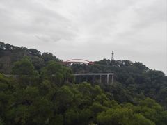 -金鸡山公园