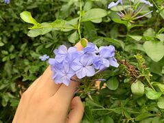 -好利来(光华中心店)