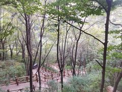 -大岭沟猕猴桃谷风景区