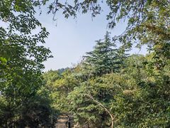 -虞山风景区