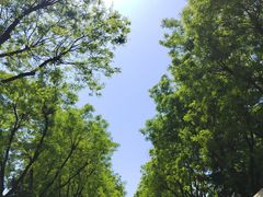 -济南南郊宾馆