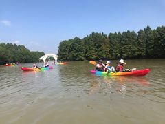 -上海海湾国家森林公园