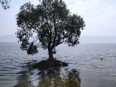 -大理洱海