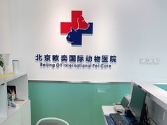 -欧奕国际动物医院