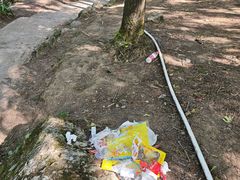 -龙窝子