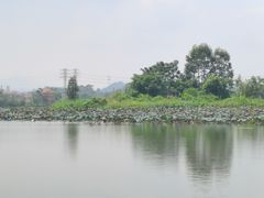 -江门古劳水乡旅游区