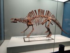 -湖南省地质博物馆