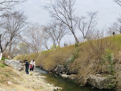 -羊山湖公园