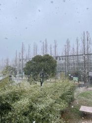 -前小桔亲子创意农场·草莓采摘·露营烧烤