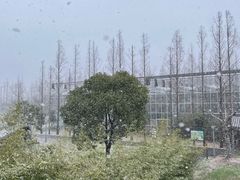 -前小桔亲子创意农场·草莓采摘·露营烧烤
